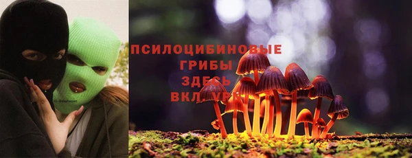 ешки Горнозаводск