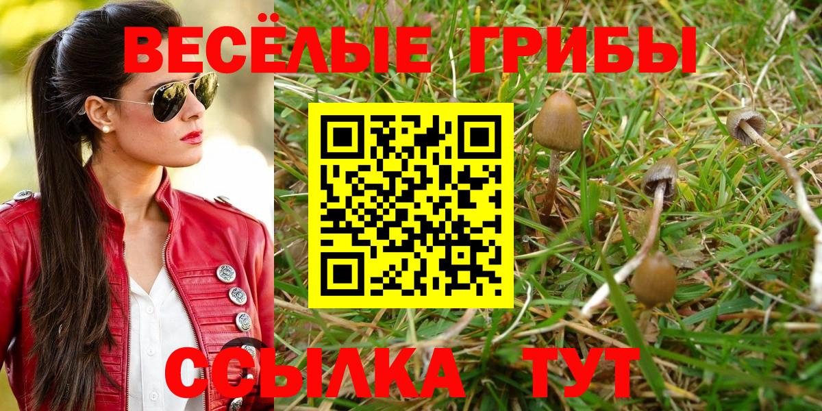 Галлюциногенные грибы GOLDEN TEACHER Можайск