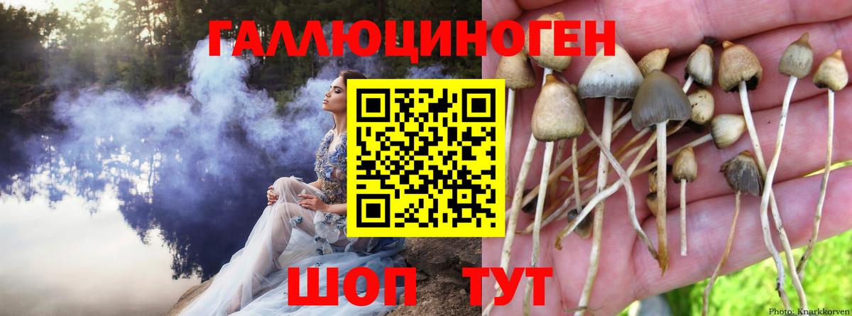 закладка  Можайск  Галлюциногенные грибы MAGIC MUSHROOMS  Галлюциногенные грибы MAGIC MUSHROOMS 